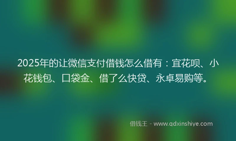 2025年的让微信支付借钱怎么借有：宜花呗、小花钱包、口袋金、借了么快贷、永卓易购等。