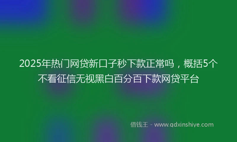 2025年热门网贷新口子秒下款正常吗，概括5个不看征信无视黑白百分百下款网贷平台