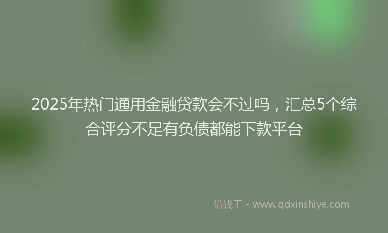 2025年热门通用金融贷款会不过吗，汇总5个综合评分不足有负债都能下款平台