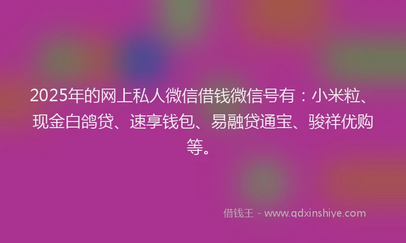 2025年的网上私人微信借钱微信号有：小米粒、现金白鸽贷、速享钱包、易融贷通宝、骏祥优购等。