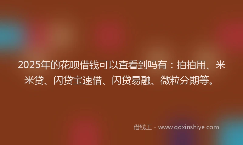 2025年的花呗借钱可以查看到吗有：拍拍用、米米贷、闪贷宝速借、闪贷易融、微粒分期等。