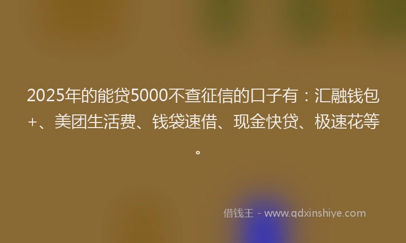 2025年的能贷5000不查征信的口子有：汇融钱包+、美团生活费、钱袋速借、现金快贷、极速花等。