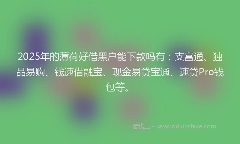 2025年的薄荷好借黑户能下款吗有：支富通、独品易购、钱速借融宝、现金易贷宝通、速贷Pro钱包等。