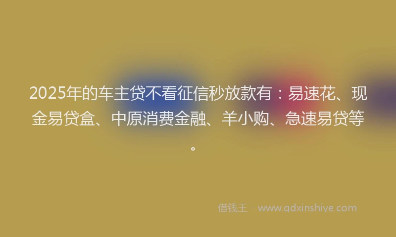 2025年的车主贷不看征信秒放款有:易速花、现金易贷盒、中原消费金融、羊小购、急速易贷等。