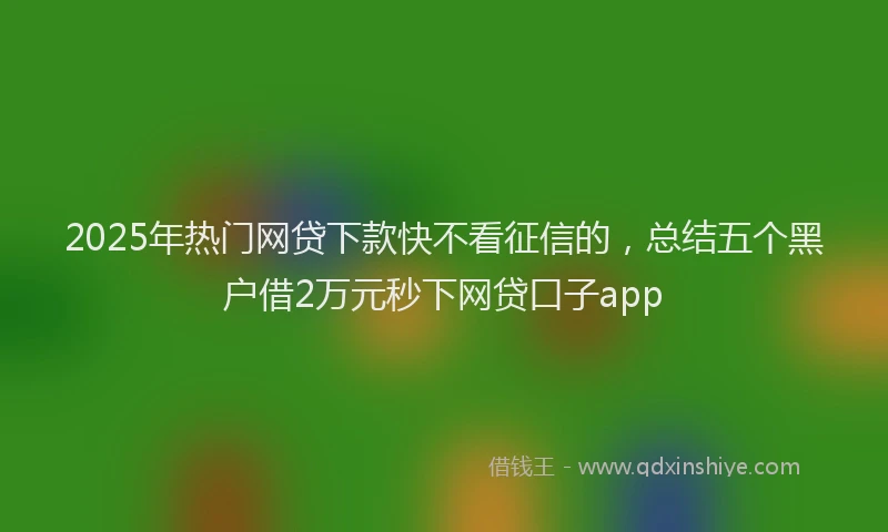 2025年热门网贷下款快不看征信的，总结五个黑户借2万元秒下网贷口子app