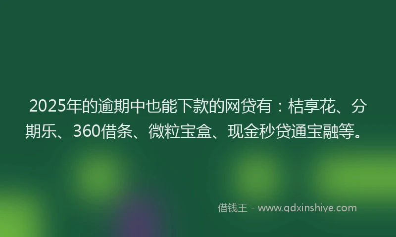 2025年的逾期中也能下款的网贷有：桔享花、分期乐、360借条、微粒宝盒、现金秒贷通宝融等。