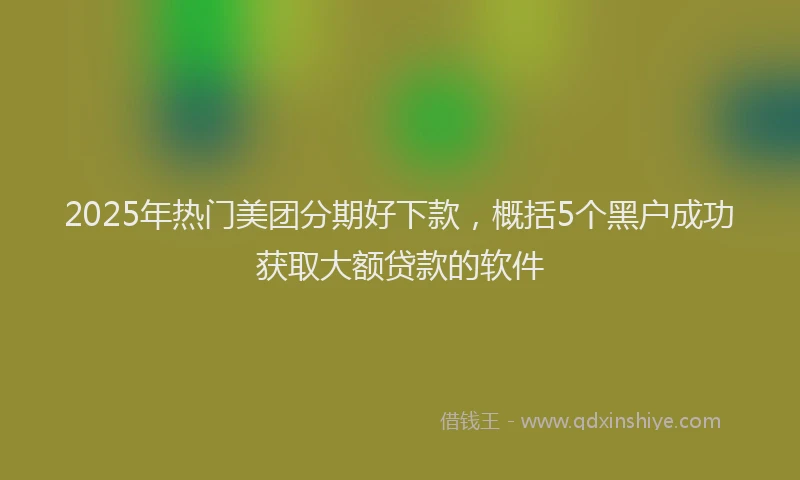 2025年热门美团分期好下款，概括5个黑户成功获取大额贷款的软件