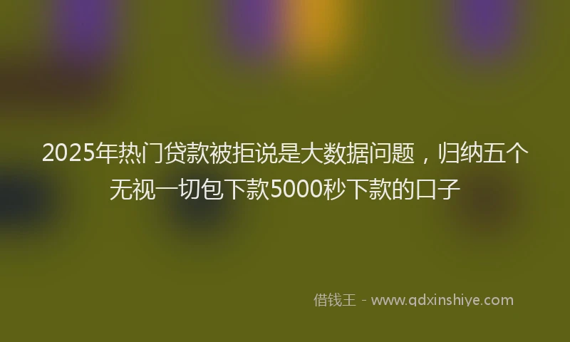 2025年热门贷款被拒说是大数据问题，归纳五个无视一切包下款5000秒下款的口子