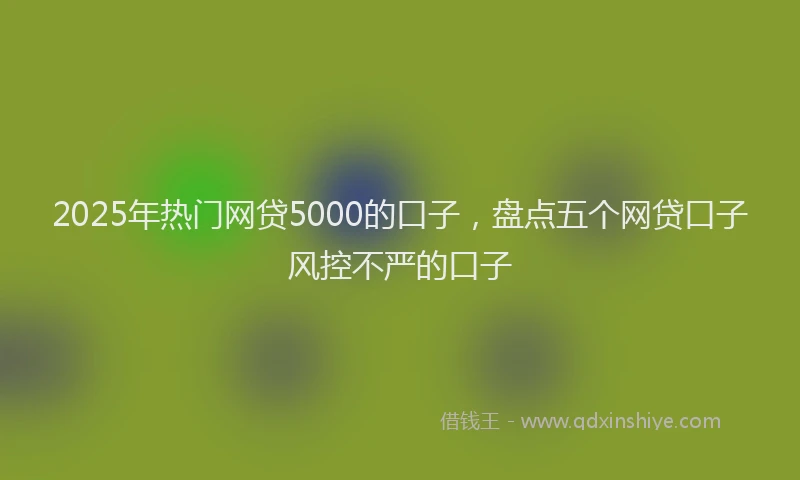2025年热门网贷5000的口子，盘点五个网贷口子风控不严的口子