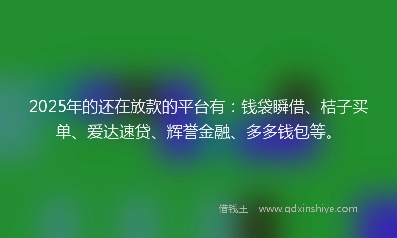 2025年的还在放款的平台有：钱袋瞬借、桔子买单、爱达速贷、辉誉金融、多多钱包等。