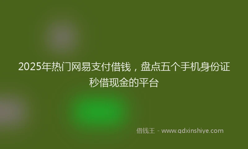 2025年热门网易支付借钱，盘点五个手机身份证秒借现金的平台