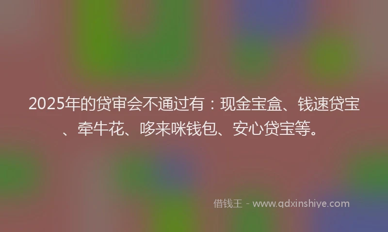 2025年的贷审会不通过有：现金宝盒、钱速贷宝、牵牛花、哆来咪钱包、安心贷宝等。