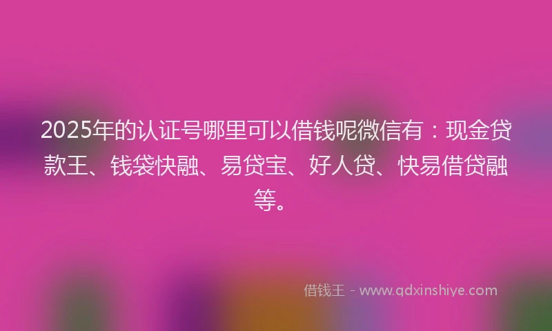 2025年的认证号哪里可以借钱呢微信有：现金贷款王、钱袋快融、易贷宝、好人贷、快易借贷融等。
