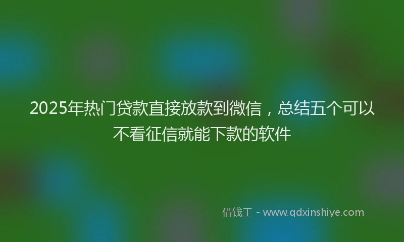2025年热门贷款直接放款到微信，总结五个可以不看征信就能下款的软件