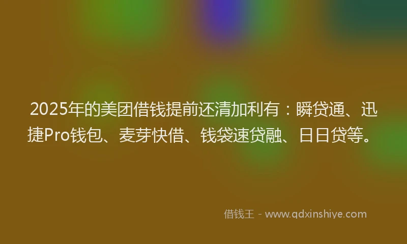 2025年的美团借钱提前还清加利有：瞬贷通、迅捷Pro钱包、麦芽快借、钱袋速贷融、日日贷等。