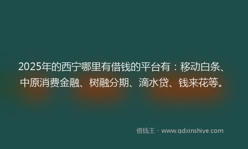 2025年的西宁哪里有借钱的平台有：移动白条、中原消费金融、树融分期、滴水贷、钱来花等。
