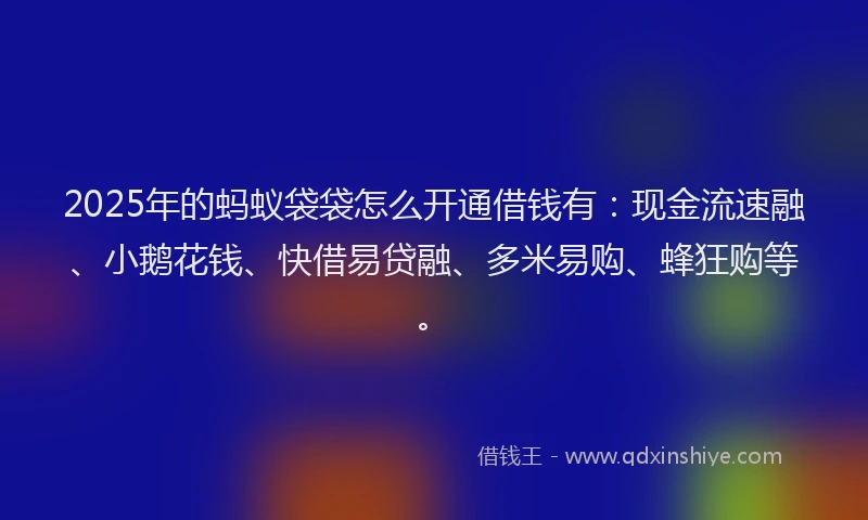 2025年的蚂蚁袋袋怎么开通借钱有：现金流速融、小鹅花钱、快借易贷融、多米易购、蜂狂购等。