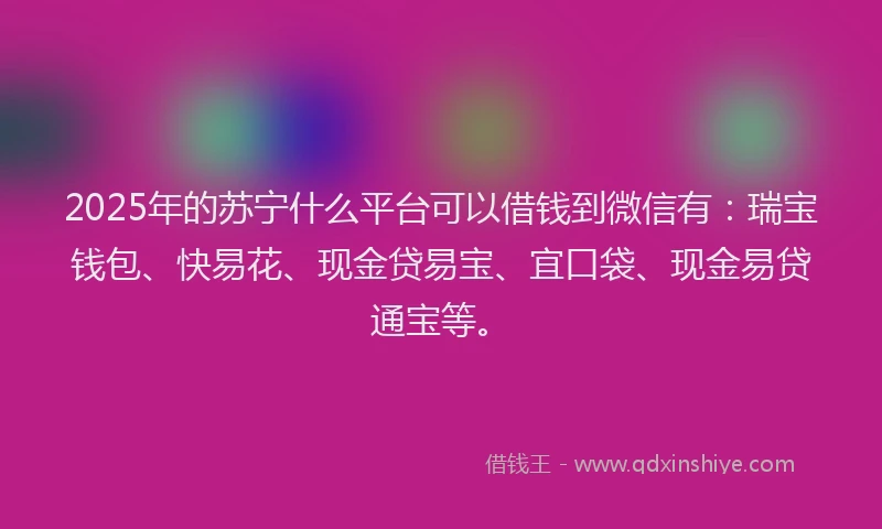 2025年的苏宁什么平台可以借钱到微信有：瑞宝钱包、快易花、现金贷易宝、宜口袋、现金易贷通宝等。