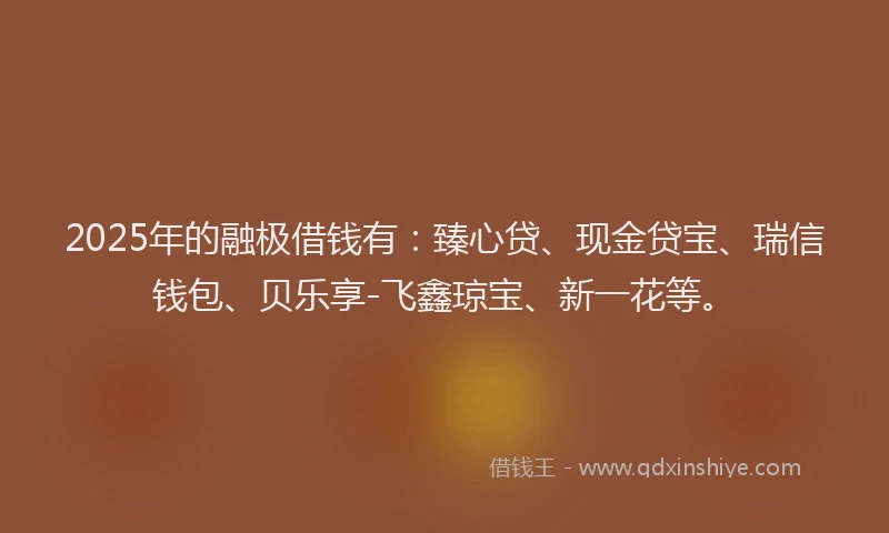 2025年的融极借钱有：臻心贷、现金贷宝、瑞信钱包、贝乐享-飞鑫琼宝、新一花等。