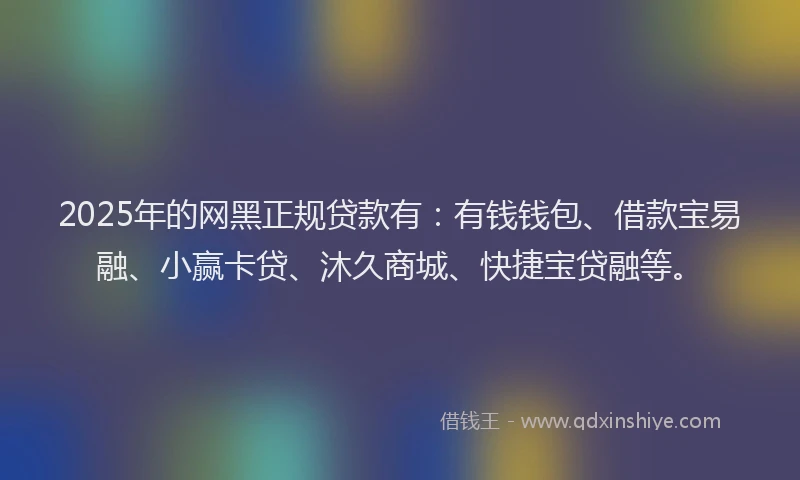 2025年的网黑正规贷款有：有钱钱包、借款宝易融、小赢卡贷、沐久商城、快捷宝贷融等。