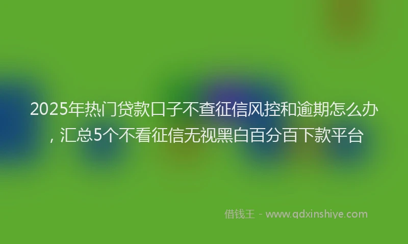 2025年热门贷款口子不查征信风控和逾期怎么办，汇总5个不看征信无视黑白百分百下款平台