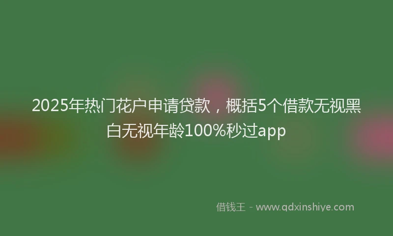 2025年热门花户申请贷款，概括5个借款无视黑白无视年龄100%秒过app
