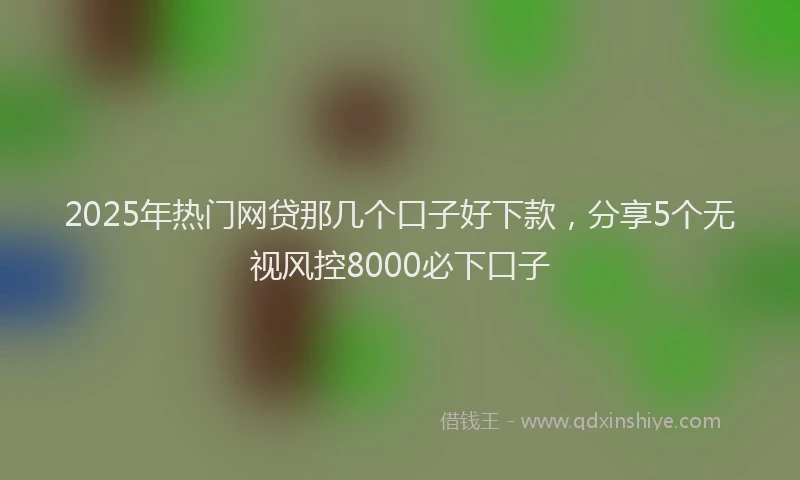 2025年热门网贷那几个口子好下款，分享5个无视风控8000必下口子