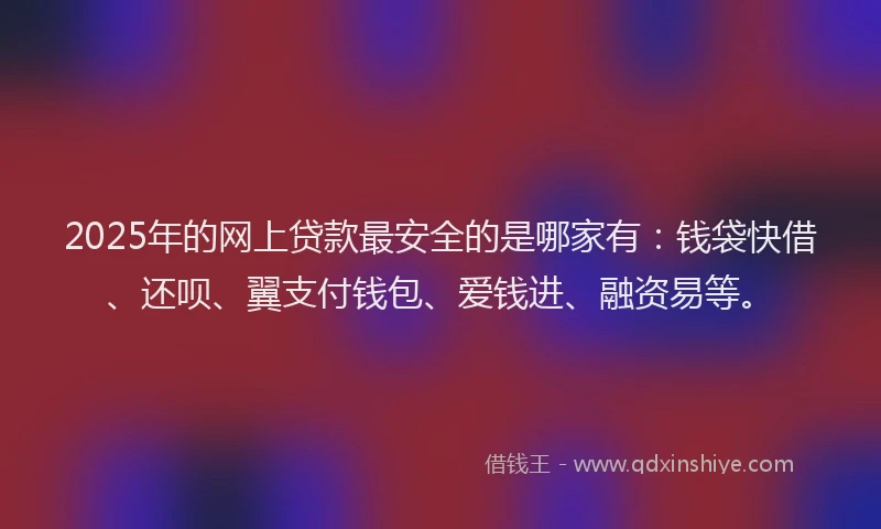 2025年的网上贷款最安全的是哪家有：钱袋快借、还呗、翼支付钱包、爱钱进、融资易等。