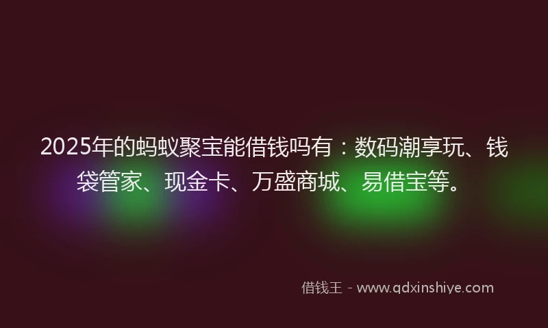 2025年的蚂蚁聚宝能借钱吗有：数码潮享玩、钱袋管家、现金卡、万盛商城、易借宝等。