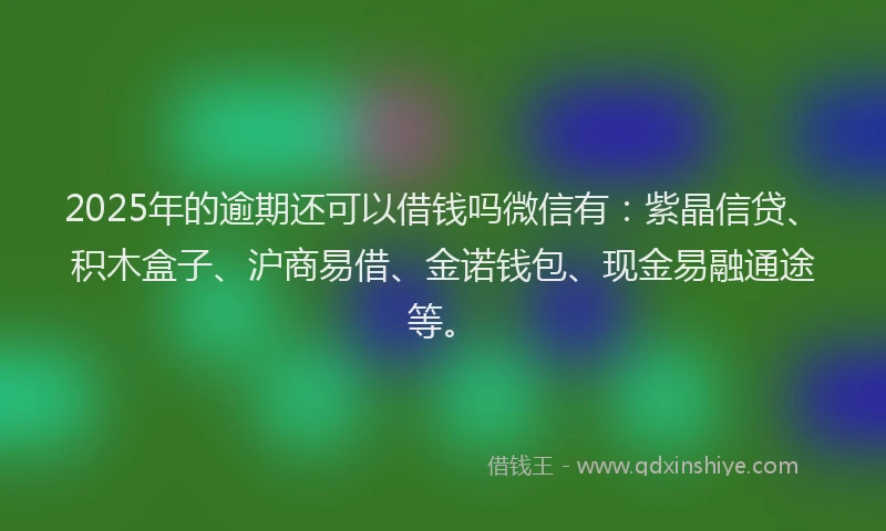 2025年的逾期还可以借钱吗微信有：紫晶信贷、积木盒子、沪商易借、金诺钱包、现金易融通途等。