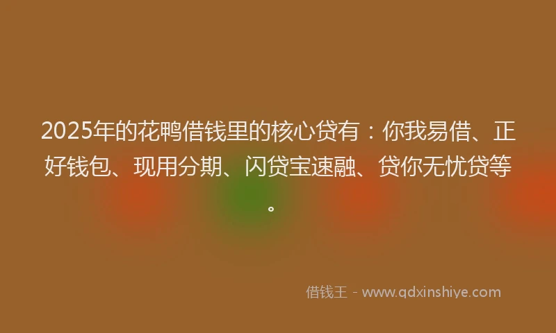 2025年的花鸭借钱里的核心贷有：你我易借、正好钱包、现用分期、闪贷宝速融、贷你无忧贷等。