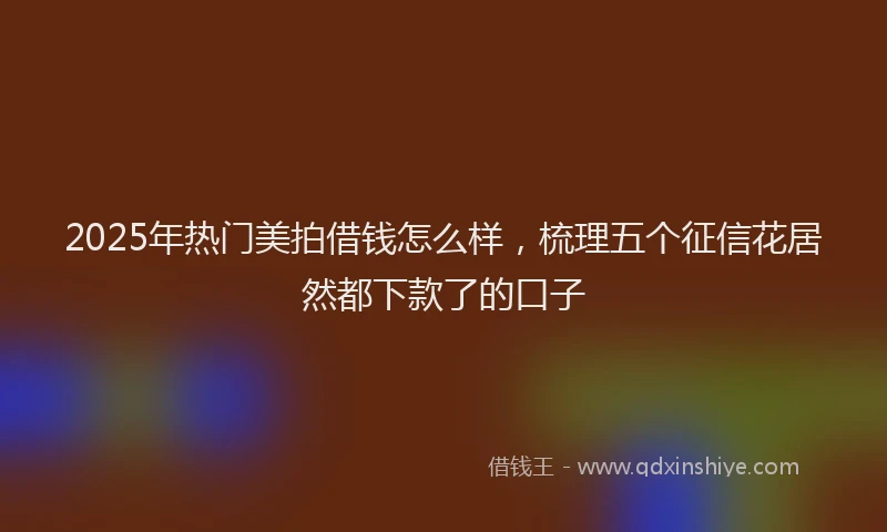 2025年热门美拍借钱怎么样，梳理五个征信花居然都下款了的口子