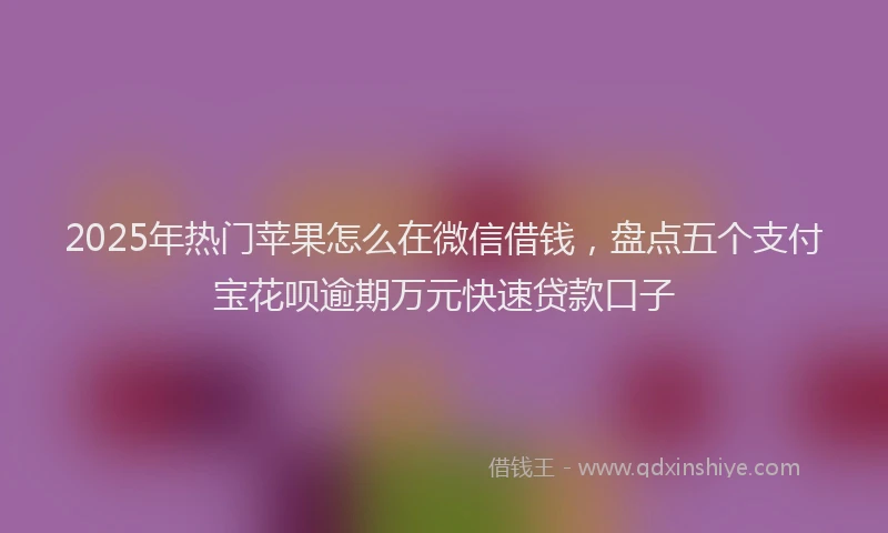 2025年热门苹果怎么在微信借钱，盘点五个支付宝花呗逾期万元快速贷款口子