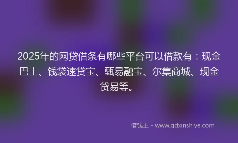 2025年的网贷借条有哪些平台可以借款有：现金巴士、钱袋速贷宝、甄易融宝、尔集商城、现金贷易等。