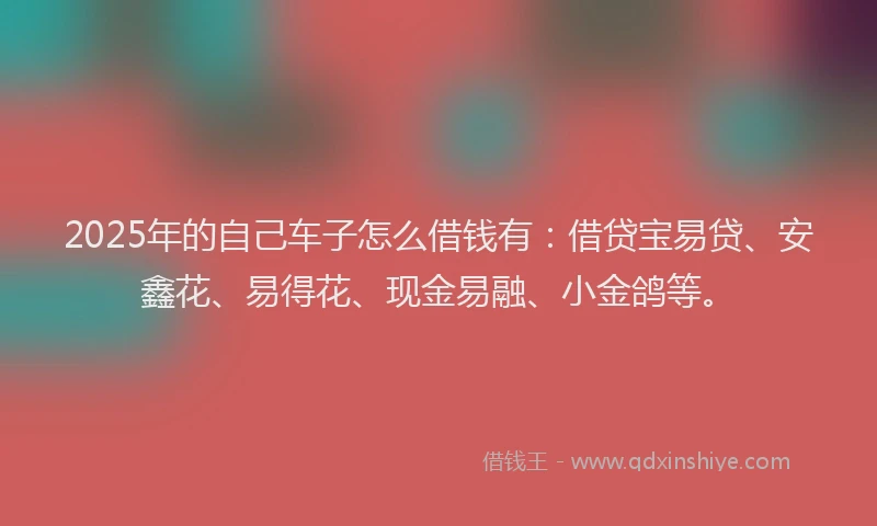 2025年的自己车子怎么借钱有：借贷宝易贷、安鑫花、易得花、现金易融、小金鸽等。
