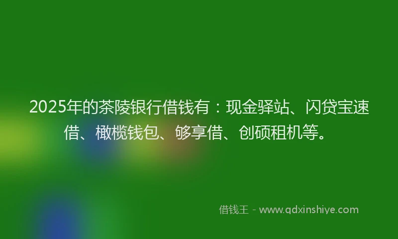 2025年的茶陵银行借钱有：现金驿站、闪贷宝速借、橄榄钱包、够享借、创硕租机等。