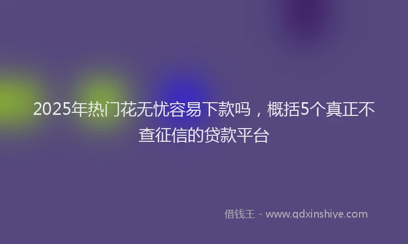2025年热门花无忧容易下款吗，概括5个真正不查征信的贷款平台