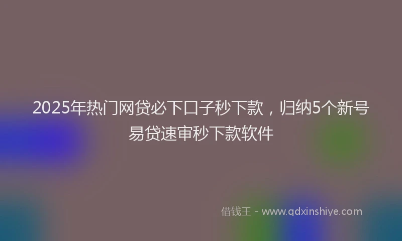 2025年热门网贷必下口子秒下款，归纳5个新号易贷速审秒下款软件