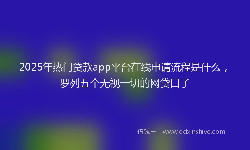 2025年热门贷款app平台在线申请流程是什么，罗列五个无视一切的网贷口子