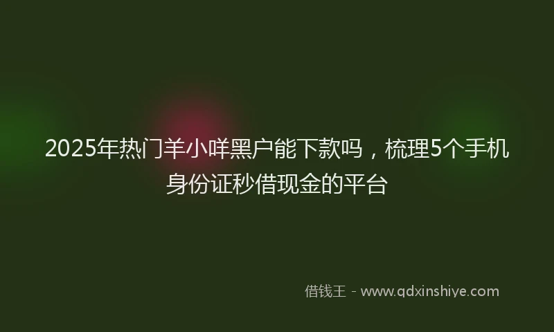 2025年热门羊小咩黑户能下款吗，梳理5个手机身份证秒借现金的平台