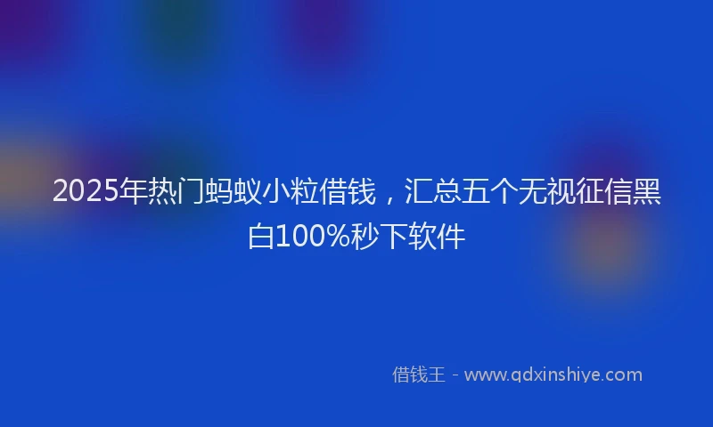 2025年热门蚂蚁小粒借钱，汇总五个无视征信黑白100%秒下软件