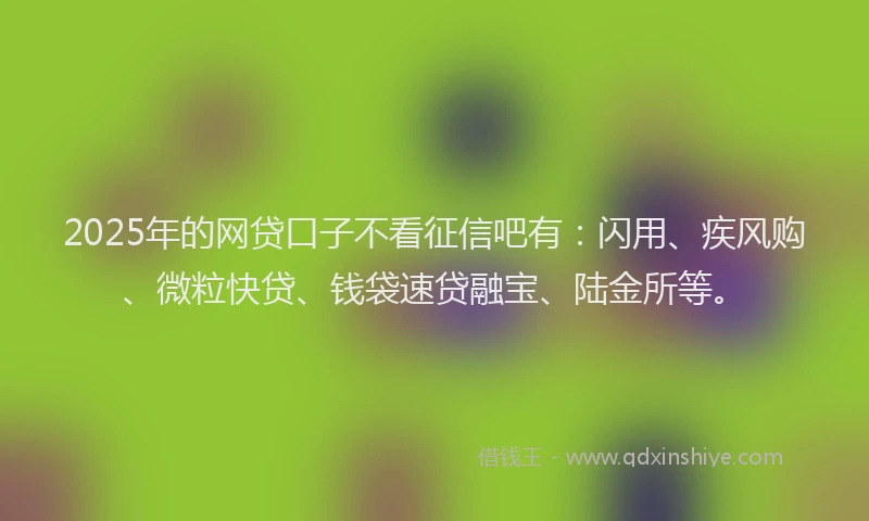2025年的网贷口子不看征信吧有：闪用、疾风购、微粒快贷、钱袋速贷融宝、陆金所等。