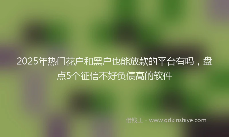 2025年热门花户和黑户也能放款的平台有吗，盘点5个征信不好负债高的软件