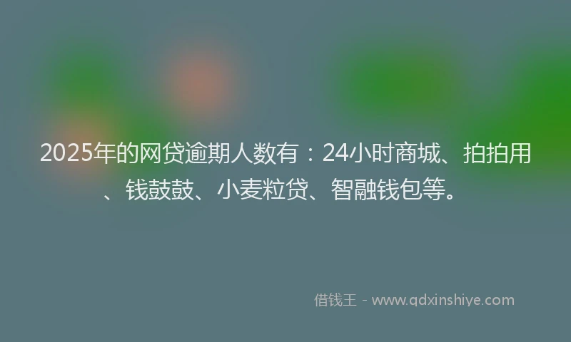 2025年的网贷逾期人数有：24小时商城、拍拍用、钱鼓鼓、小麦粒贷、智融钱包等。