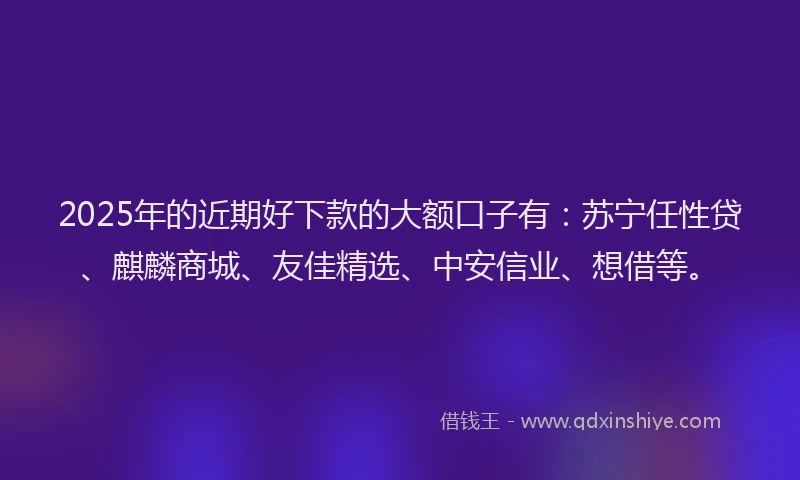 2025年的近期好下款的大额口子有：苏宁任性贷、麒麟商城、友佳精选、中安信业、想借等。