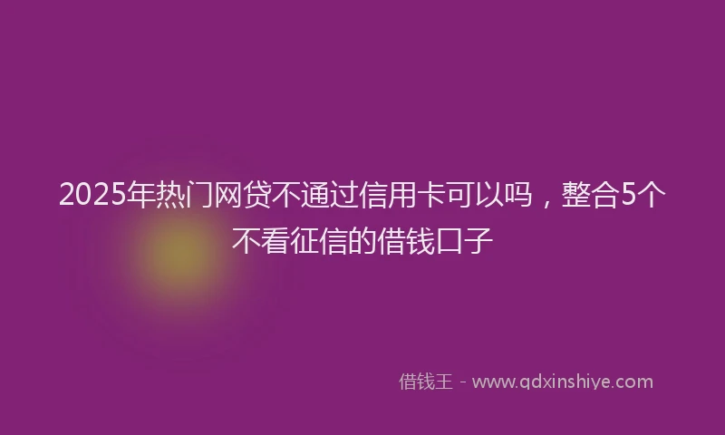 2025年热门网贷不通过信用卡可以吗，整合5个不看征信的借钱口子