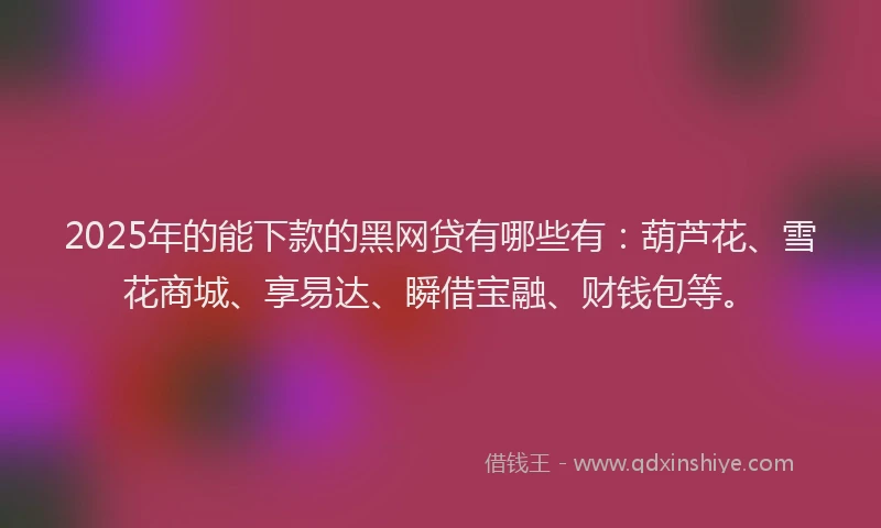 2025年的能下款的黑网贷有哪些有：葫芦花、雪花商城、享易达、瞬借宝融、财钱包等。
