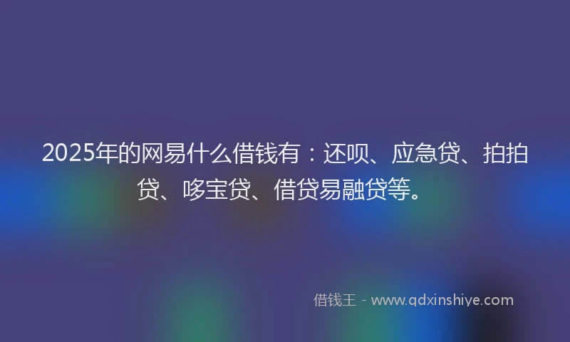 2025年的网易什么借钱有：还呗、应急贷、拍拍贷、哆宝贷、借贷易融贷等。