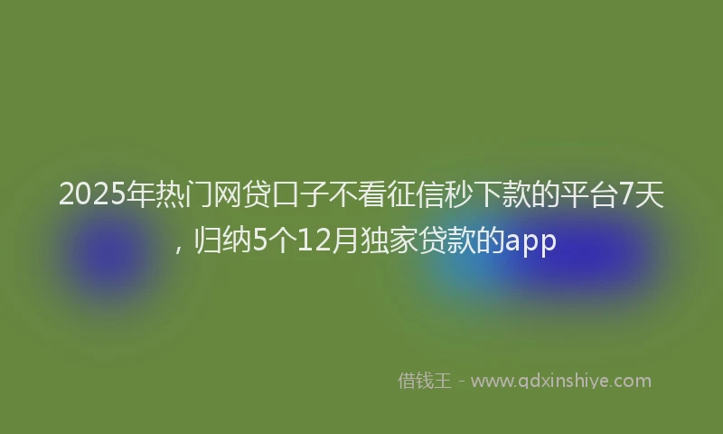 2025年热门网贷口子不看征信秒下款的平台7天，归纳5个12月独家贷款的app