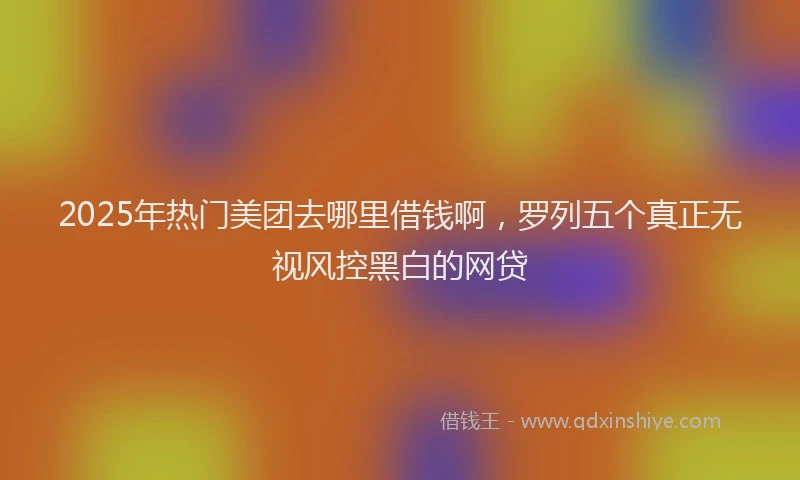2025年热门美团去哪里借钱啊，罗列五个真正无视风控黑白的网贷